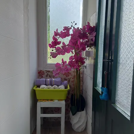 Vikendica Nada Apartment